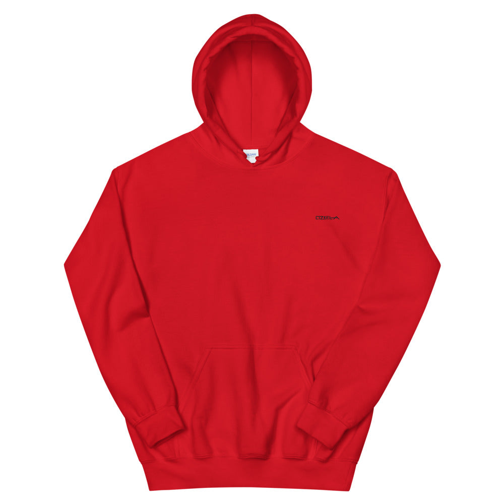 Lizkela Heavy Blend Hoodie (Unisex)